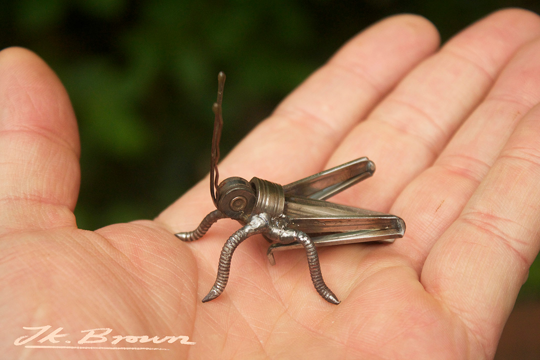 Grasshopper