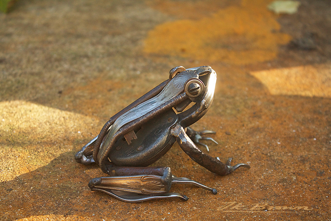 Common Frog