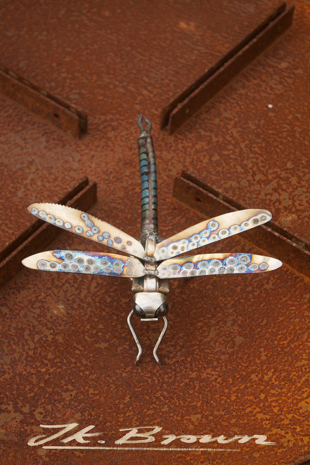 Emperor Dragonfly