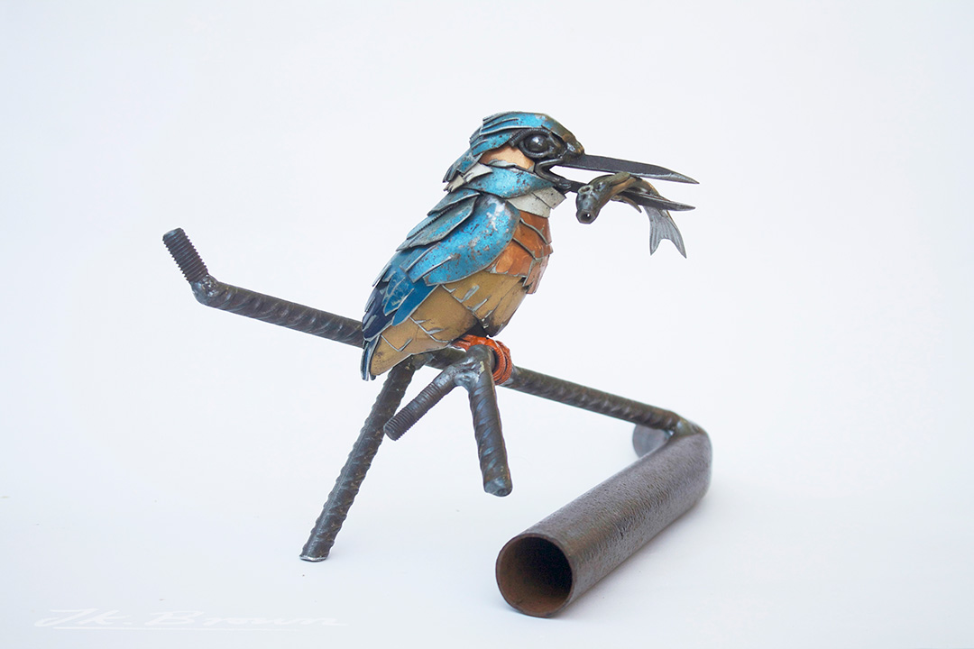 Eurasian Kingfisher (Alcedo atthis)
