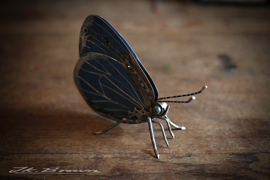 Holly Blue Butterfly (Celastrina argiolus)