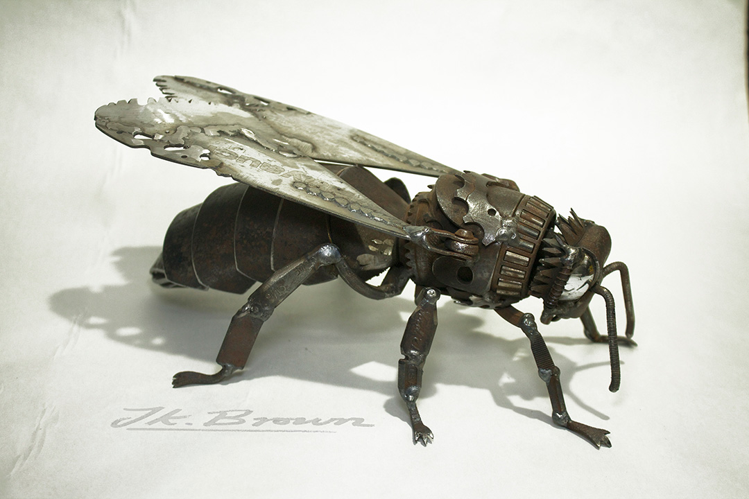 Honey bee (Apis mellifera)