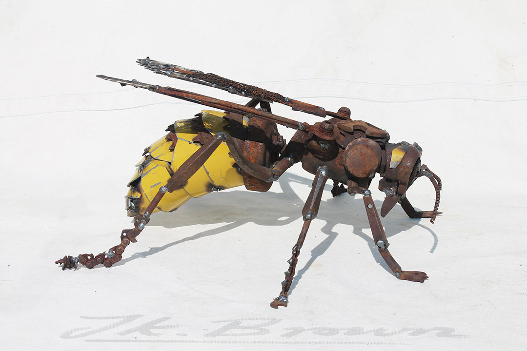 Hornet (Vespa crabro)