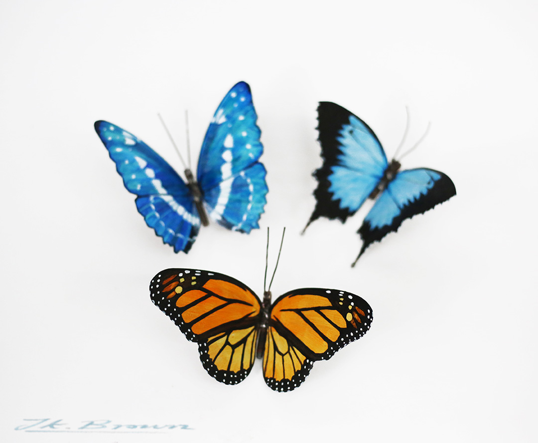 Monarch, Ulysess & Morpho Butterflies