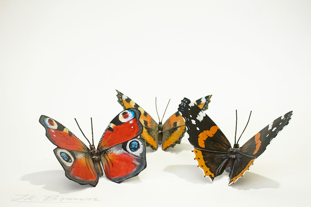Three Native Butterflies