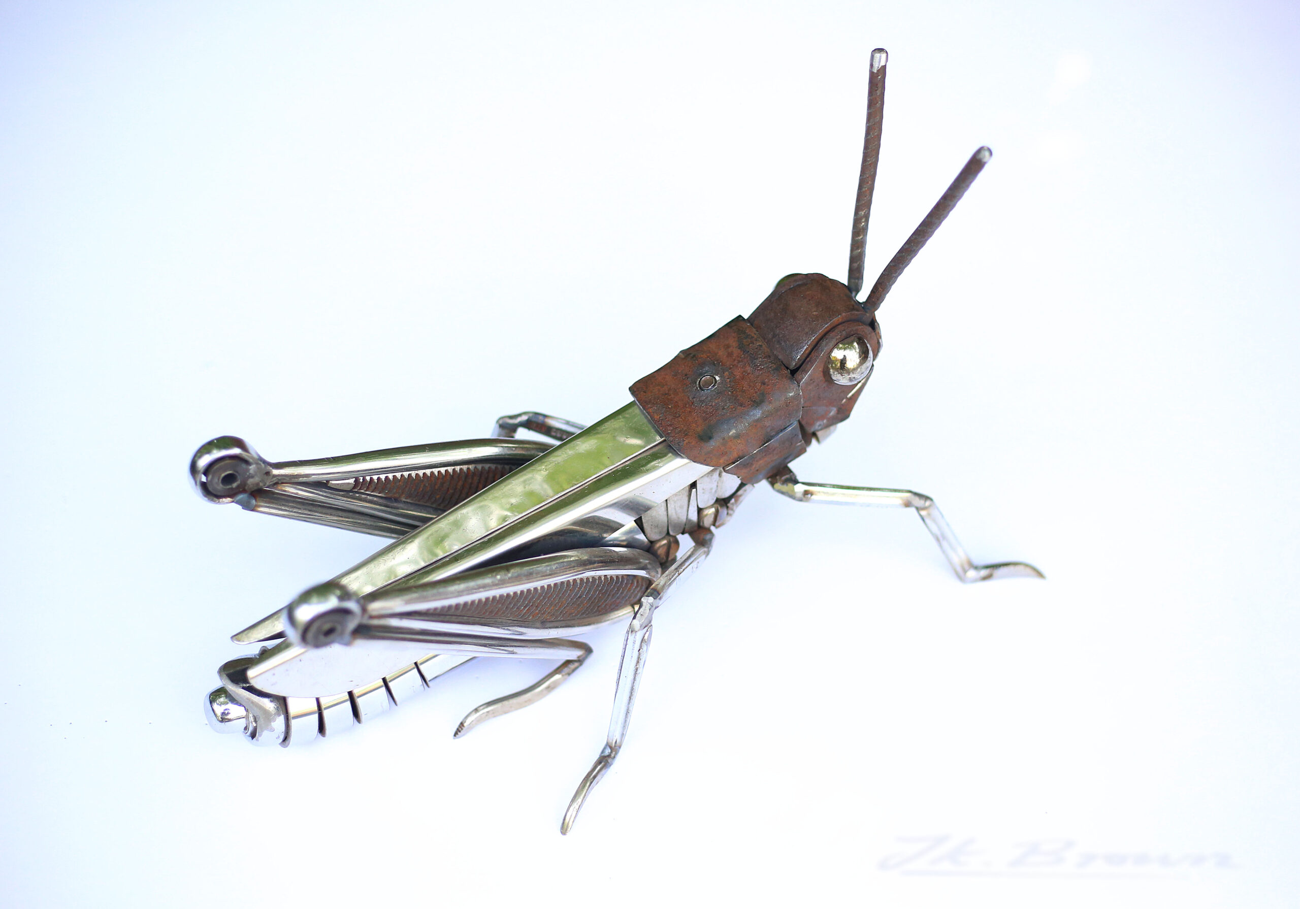 Grasshopper